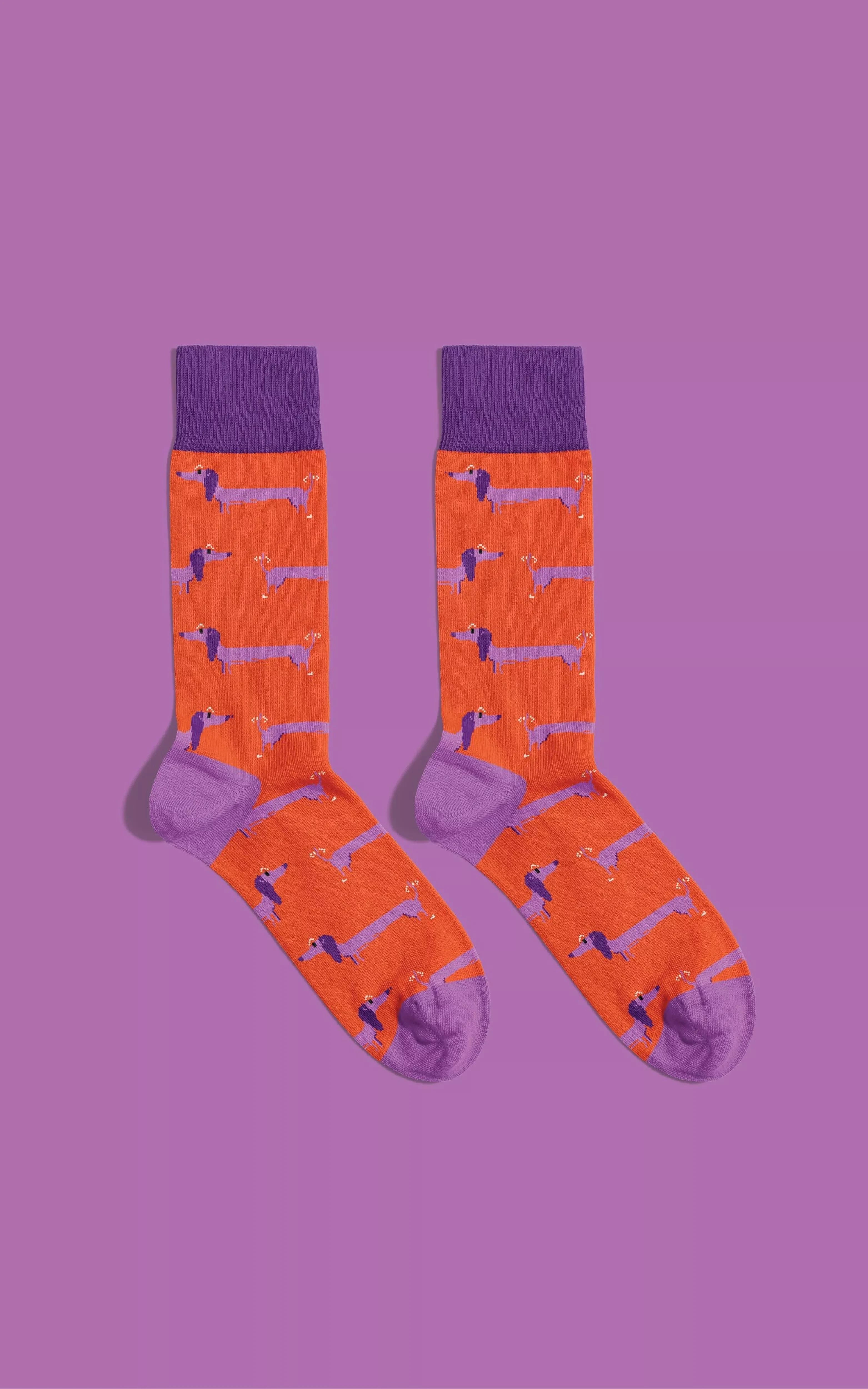 Banana Socks Webshop - Happy Daschund Socks